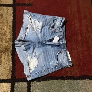 American Eagle Outfitters Light Blue Distressed Jean Shorts